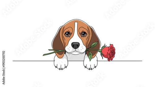 Adorable beagle puppy peeking over a line and holding a red rose in its mouth in a romantic cartoon illustration.