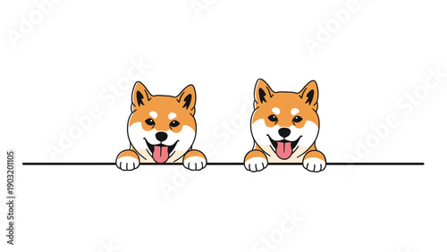 Two happy shiba inu puppies peeking over a solid black line with their tongues out on a simple white background for dog lovers.