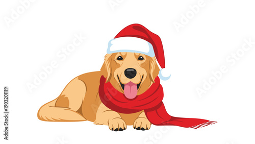 Loyal golden retriever dog wearing a red santa hat and a cozy red scarf lying down on a white background for christmas celebrations.