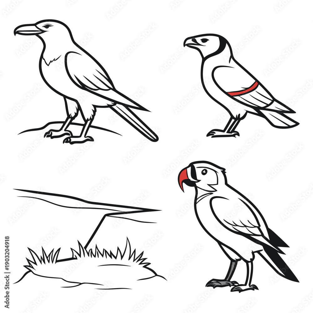Fototapeta premium Four different types of birds illustrated in a simple, black and white style. Vector