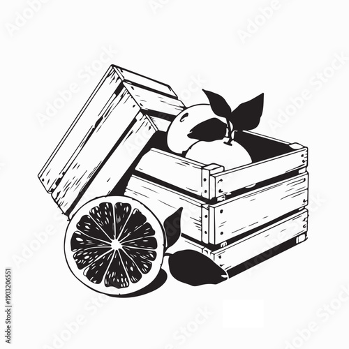 Crates Filled with Fresh Oranges Vector Illustration for Fruit Market Design Concept