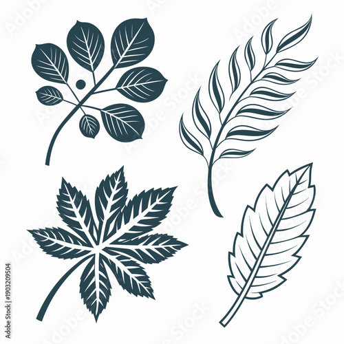 A collection of various leaf illustrations showcasing different plant species Vector