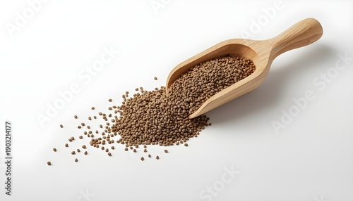 A wooden scoop filled with brown seeds on a white background