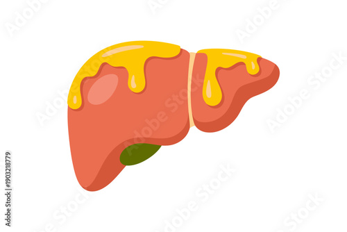 Cartoon human liver organ with dripping yellow liquid and green gallbladder white