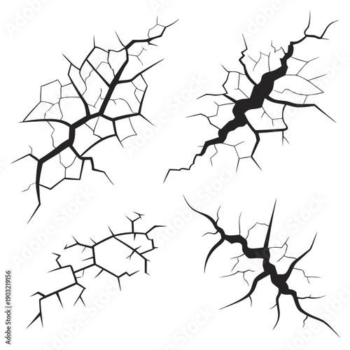 Intricate black and white line drawings of neurons and their connections Vector
