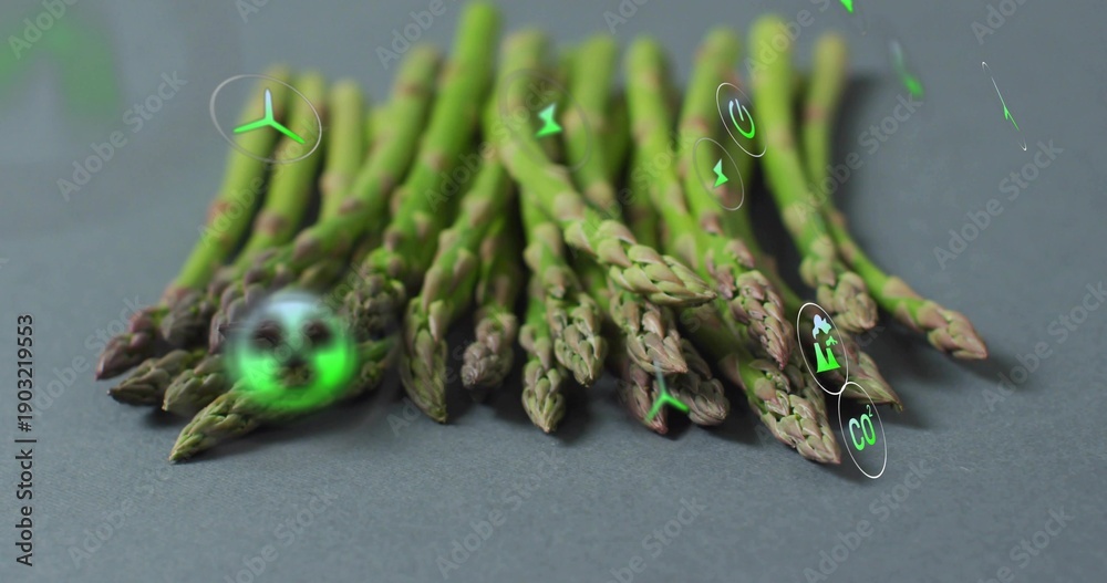 Fototapeta premium Showing bundle of asparagus spears lying flat on studio tabletop, with neon green holographic icons
