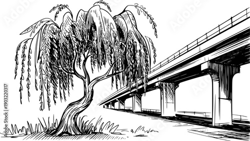 Of a weeping willow tree beside a concrete elevated highway structure black white