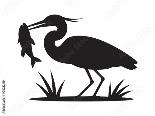 Silhouette of a heron holding a fish in its beak vector illustration on white background
