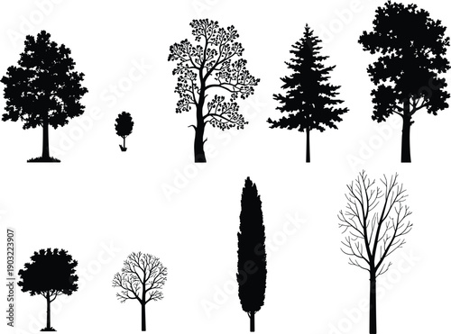 Collection of realistic tree silhouettes including deciduous, pine, cypress and bare trees isolated on white background for design use