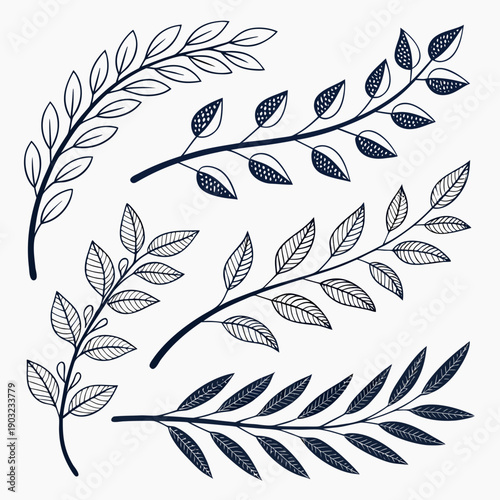 A collection of intricate black and white leaf illustrations showcasing various plant species Vector