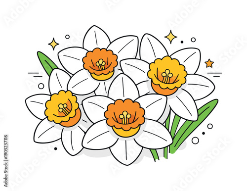 Spring Daffodil Close-Up. Daffodil flowers close up. A detailed close-up view of daffodil blossoms with soft petals and clear trumpet centers, gently filling