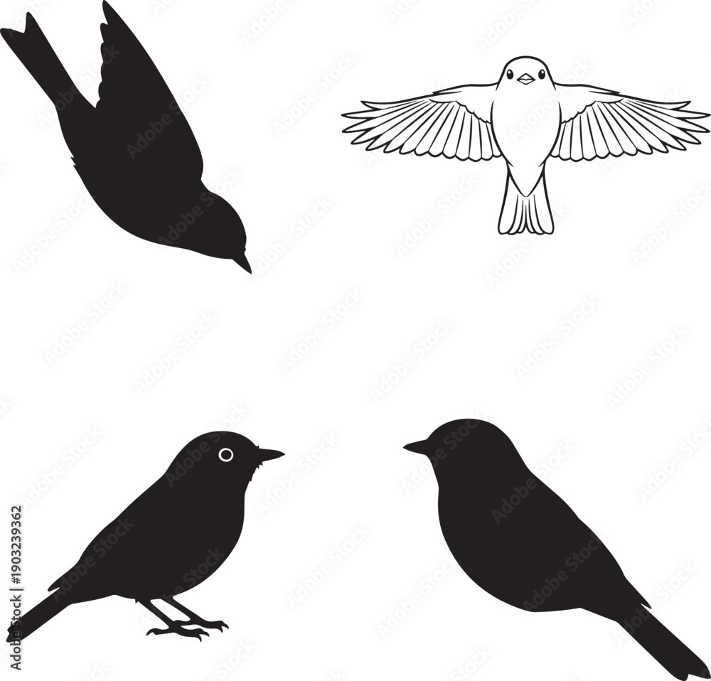 Fototapeta premium Acadian Flycatcher