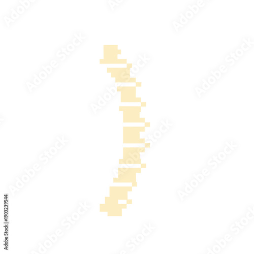 Spine Bone Anatomy Medical Illustration Icon