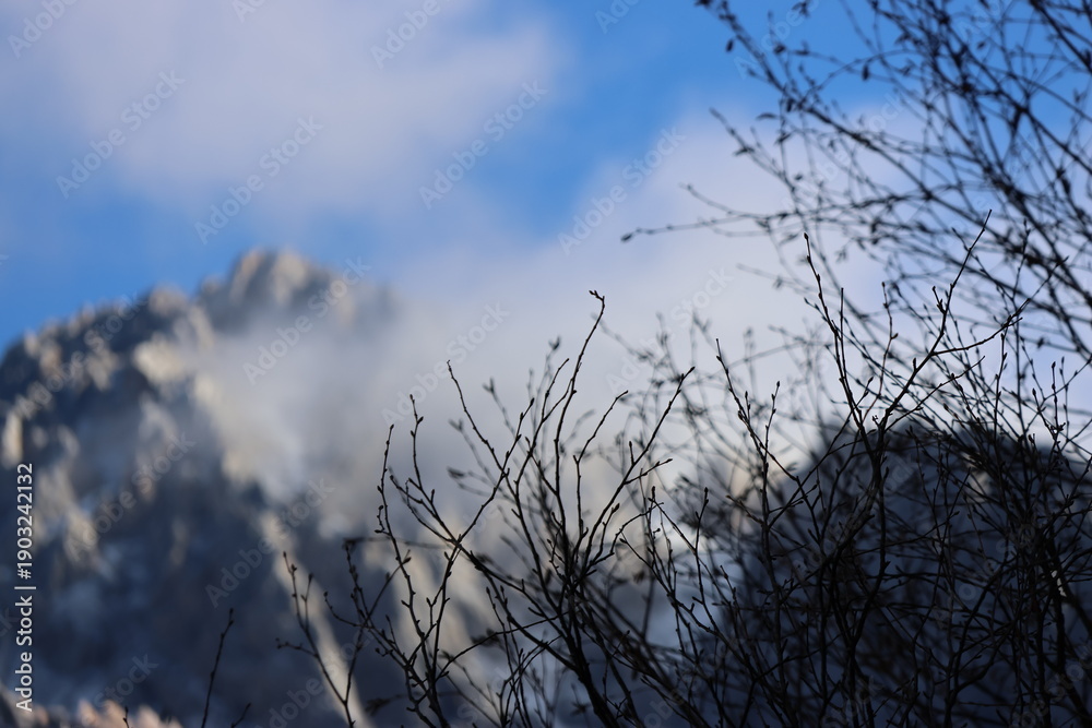 Obraz premium Morning view of artistic tree branches with background of snow-capped mountains and dramatic clouds at Jiuzhai Valley National Park in autumn, China