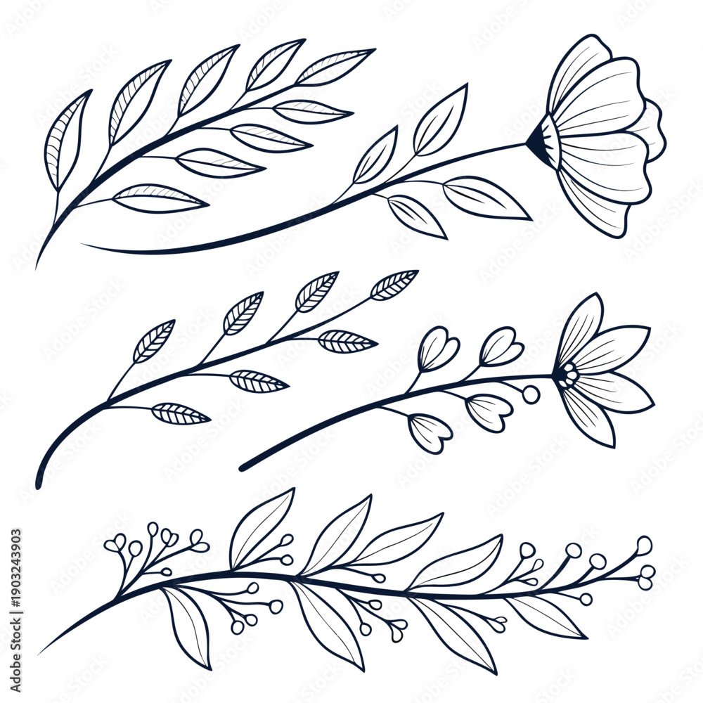 Obraz premium Delicate line drawings of various leaves and flowers in a natural setting. Vector