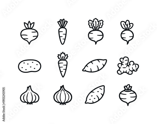 Root Vegetables. Line icon set of Root Vegetables: turnip, carrot, beetroot, radish, potato, parsnip, sweet potato, ginger root, garlic bulb,