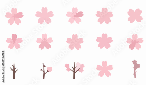 Elegant Sakura Flower Arrangement Watercolor Vector Set with Pink Cherry Blossom Branches and Spring Floral Designs