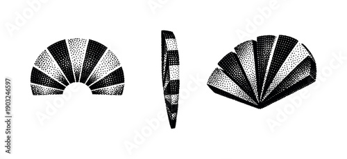 Segmented halftone circular rays pattern represented as one divided radial ray object shown in three views: front view, side view, and