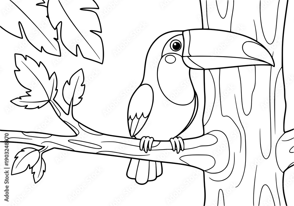 Fototapeta premium Simple cartoon in black and white. cute toucan bird on Branch. in rainforest. ideal for children's coloring books.