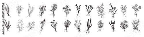  collection of bouquets of wild flowers flower compositions