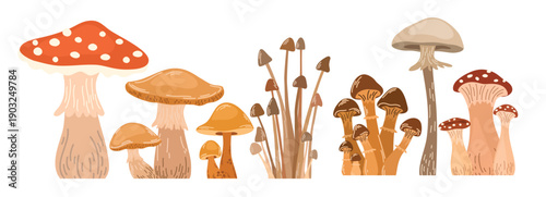 autumn mushrooms border decoration fall fungi horizontal