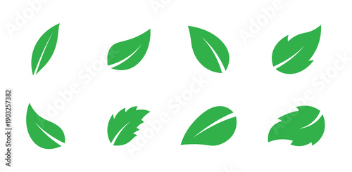  leaves icon set isolated on white background