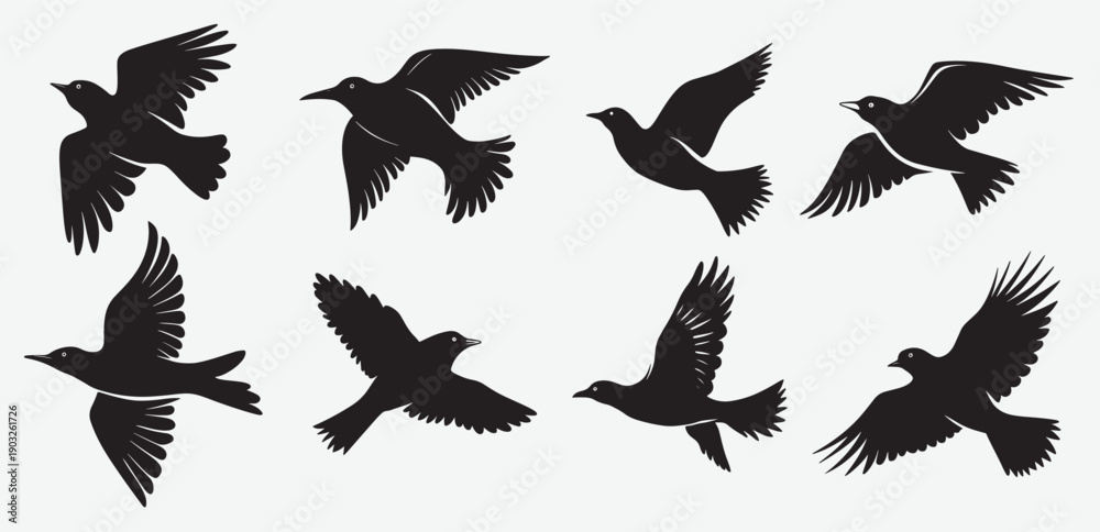 Obraz premium Birds Silhouette Vector Collection Hand drawn