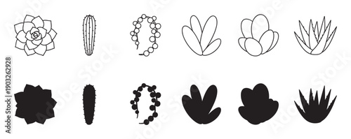 Black and white collection of succulent and cactus illustrations in minimalist line art and solid silhouette styles, featuring modern botanical icons of various popular houseplants