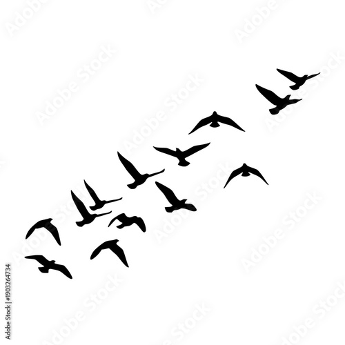 Migrating Birds Flock Silhouette Vector on White Background