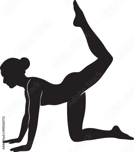 Woman in yoga pose on hands and knees with one leg raised high  exercise