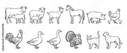 Large set of domestic farm animals drawn in a detailed black and white line art style, showing a cow, sheep, and pig with their young, plus a horse, goat, and various poultry