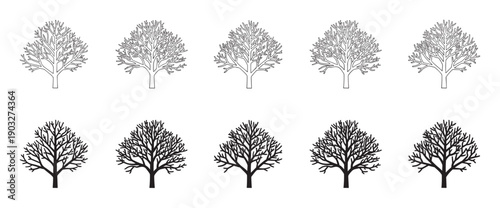 Set of ten bare tree illustrations presented in two graphic styles, a minimalist black line art outline and a solid dark silhouette for nature and seasonal concepts