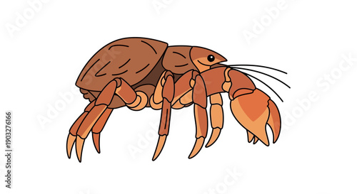 Illustration of a brown crab with detailed claws and antennae on a white background.