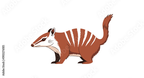 Fotografía Illustration of a brown-striped numbat standing with a raised tail