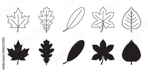 Collection of black tree leaf icons showing different species like maple and oak in both minimalist outline and solid silhouette styles for nature-themed graphic design