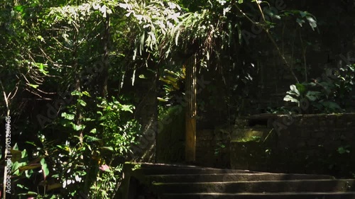 Exploring Castillo de Edward James in Xilitla, San Luis Potosi, Mexico with steps and green plants