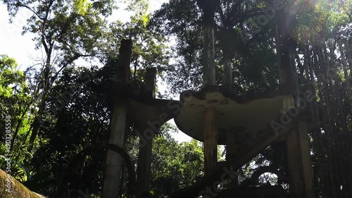 Visit Castillo de Edward James in Xilitla, San Luis Potosi, Mexico and explore the unique architecture and nature