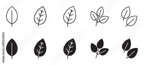 Set of black leaf icons in outline and solid glyph styles, featuring various simple plant and tree foliage shapes for ecology, nature, and organic-themed design projects