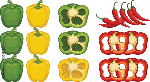Assorted Fresh Bell Peppers and Red Chili Peppers Vector Set with Whole and Sliced Capsicum for Grocery Branding, Healthy Cooking Recipes, and Farmers Market Illustrations