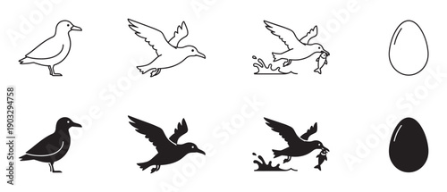 Set of black seagull icons showing the bird standing, flying, catching a fish, and an egg, presented in both simple outline and solid silhouette graphic styles