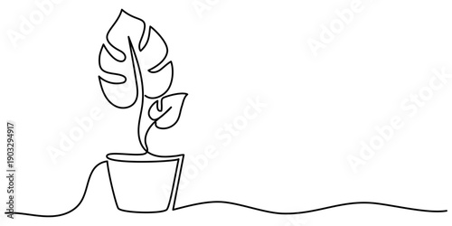 Single Line flower in a pot. One Line Hand Drawn Illustration. Beautiful flower Isolated on a white background. Hand drawn one line vector. Editable stroke