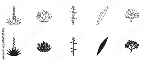 Set of black agave plant illustrations showing the full plant, rosette, flower stalk, leaf, and flowers in both outline and silhouette styles for botanical design