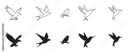 Set of minimalist black bird icons featuring various species like eagles and hummingbirds in flight, presented in both clean line art and solid black silhouette vector forms