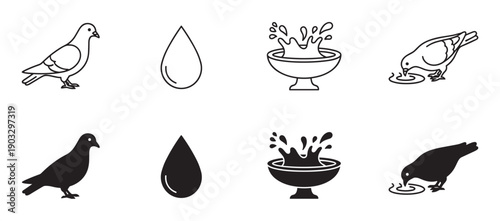 Set of black bird and water icons showing a pigeon, a droplet, a splash in a bowl, and a drinking bird, presented in both outline and solid silhouette graphic styles