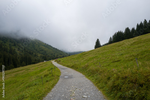 A narrow gravel path curves through lush green alpine meadows, bordered by dense evergreen forest and disappearing into low mountain fog under an overcast sky.