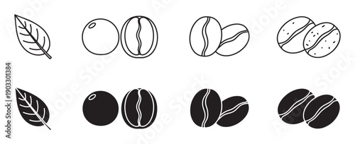 Coffee bean and leaf icon set in black and white vector illustration style showing different stages from plant to roasted product, with both outline and solid glyph designs