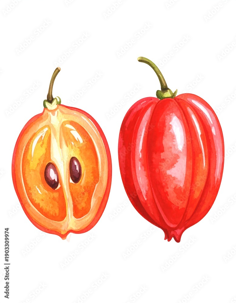 Obraz premium Watercolor illustration of a red fruit, one whole and one cut in half