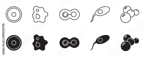 Set of black biological cell icons showing different microorganisms like amoeba, bacteria, and dividing cells in both line art and solid glyph styles for scientific concepts