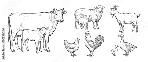 Collection of hand-drawn farm animals including a cow with calf, sheep with lamb, goat, rooster, hen, and goose in a detailed black and white line art sketch style