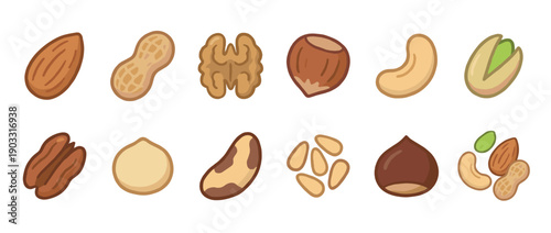 Colorful illustrated collection of various nuts including almond, walnut, peanut, and cashew, presented as a set of cute cartoon icons for food and nutrition concepts